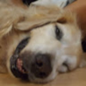 Meet your Posher, Noelle